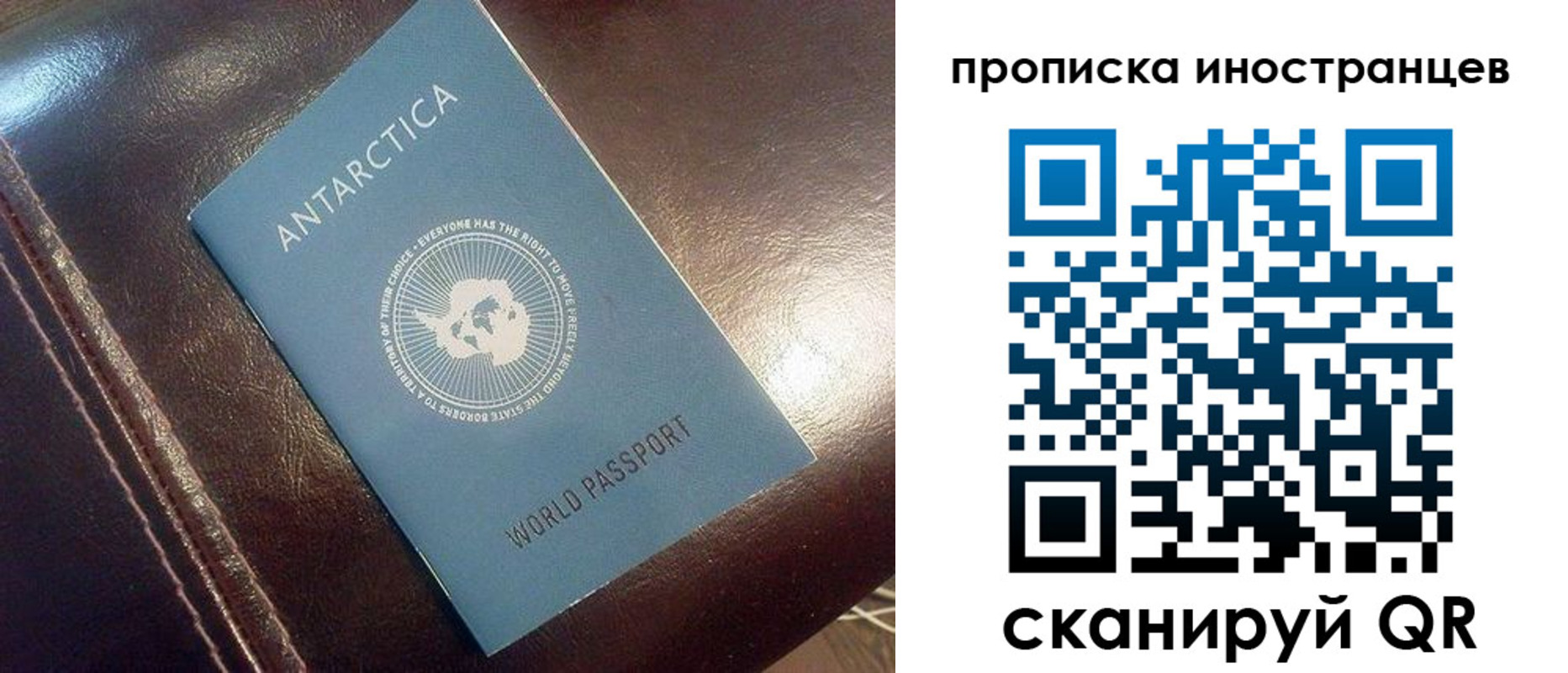 временная прописка в Павловском Посаде